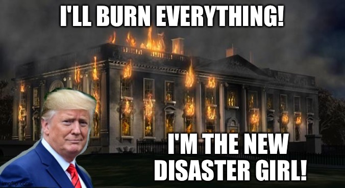 The Donald Is The New Disaster Girl | I'LL BURN EVERYTHING! I'M THE NEW 
DISASTER GIRL! | image tagged in the donald is the new disaster girl | made w/ Imgflip meme maker