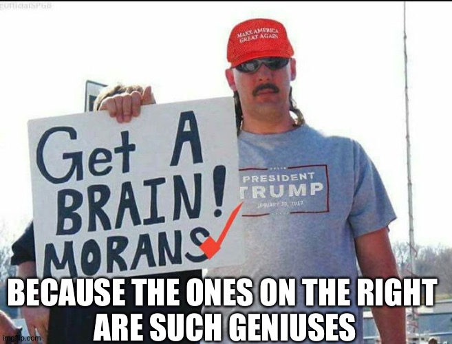 trump supporter | BECAUSE THE ONES ON THE RIGHT 
ARE SUCH GENIUSES | image tagged in trump supporter | made w/ Imgflip meme maker