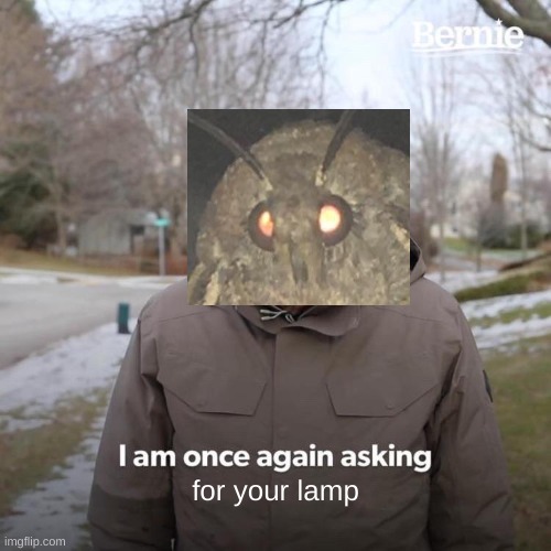 Bernie I Am Once Again Asking For Your Support Meme | for your lamp | image tagged in memes,bernie i am once again asking for your support | made w/ Imgflip meme maker