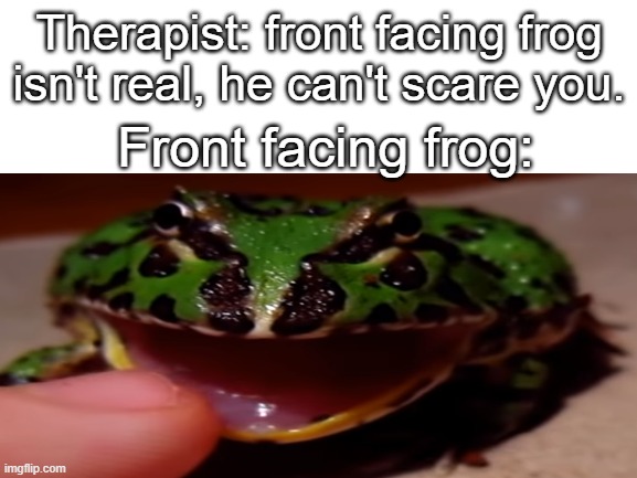 froggy | Therapist: front facing frog isn't real, he can't scare you. Front facing frog: | image tagged in frog | made w/ Imgflip meme maker