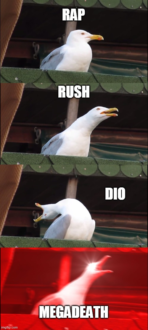 Inhaling Seagull | RAP; RUSH; DIO; MEGADEATH | image tagged in memes,inhaling seagull | made w/ Imgflip meme maker