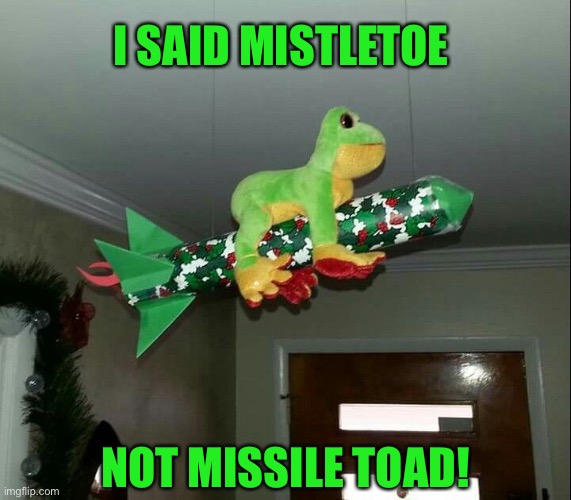 The Deaf Decorating Committee | I SAID MISTLETOE; NOT MISSILE TOAD! | image tagged in funny memes,funny christmas,mistletoe,missile toad | made w/ Imgflip meme maker