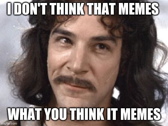 LOL | I DON'T THINK THAT MEMES; WHAT YOU THINK IT MEMES | image tagged in i do not think that means what you think it means | made w/ Imgflip meme maker