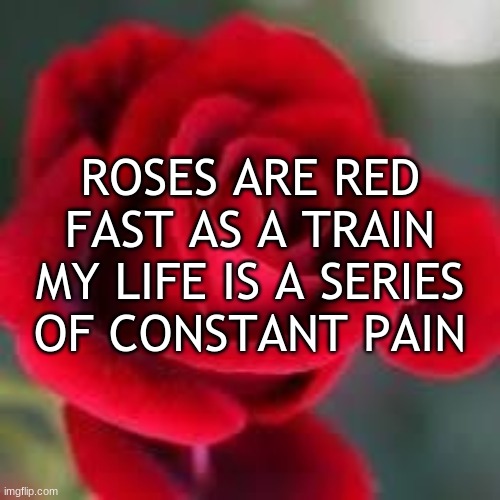 roses are red | ROSES ARE RED
FAST AS A TRAIN
MY LIFE IS A SERIES
OF CONSTANT PAIN | image tagged in roses are red | made w/ Imgflip meme maker