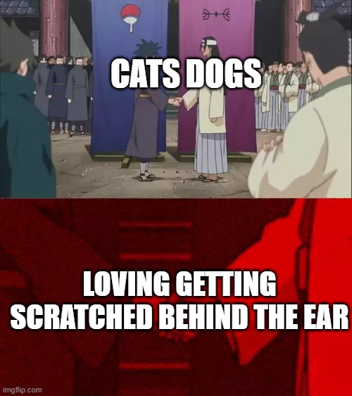 Yes | CATS; DOGS; LOVING GETTING SCRATCHED BEHIND THE EAR | image tagged in naruto handshake meme template | made w/ Imgflip meme maker