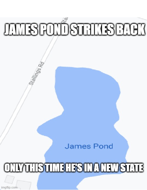 The name is Pond, James Pond | JAMES POND STRIKES BACK; ONLY THIS TIME HE'S IN A NEW STATE | image tagged in memes | made w/ Imgflip meme maker