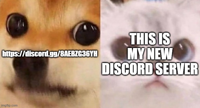 yeah- | https://discord.gg/8AEBZG36YH; THIS IS MY NEW DISCORD SERVER | image tagged in scared cat and scared dog | made w/ Imgflip meme maker