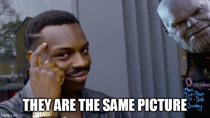 THEY ARE THE SAME PICTURE | image tagged in memes,roll safe think about it | made w/ Imgflip meme maker