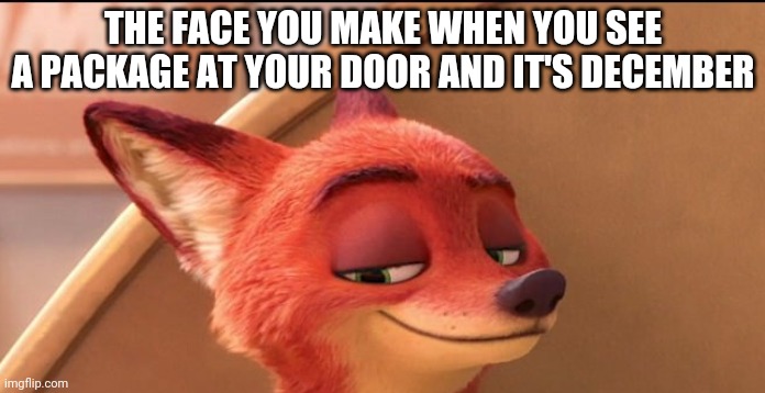 Nick's Special Delivery |  THE FACE YOU MAKE WHEN YOU SEE A PACKAGE AT YOUR DOOR AND IT'S DECEMBER | image tagged in nick wilde smug,zootopia,nick wilde,the face you make when,christmas,funny | made w/ Imgflip meme maker