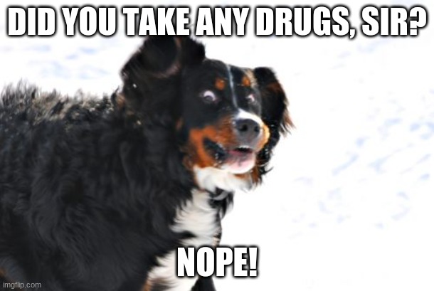 Crazy Dawg | DID YOU TAKE ANY DRUGS, SIR? NOPE! | image tagged in memes,crazy dawg,funny,drugs | made w/ Imgflip meme maker