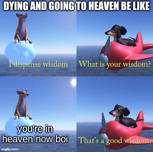 Wisdom dog |  DYING AND GOING TO HEAVEN BE LIKE; you're in heaven now boi | image tagged in wisdom dog | made w/ Imgflip meme maker