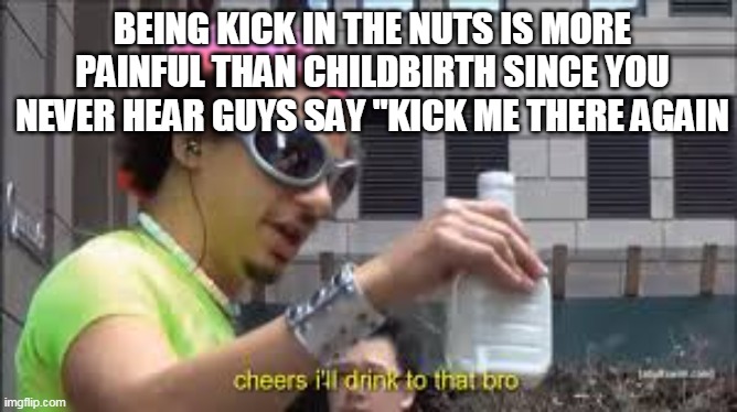 The Truth...ish | BEING KICK IN THE NUTS IS MORE PAINFUL THAN CHILDBIRTH SINCE YOU NEVER HEAR GUYS SAY "KICK ME THERE AGAIN | image tagged in cheers i'll drink to that bro | made w/ Imgflip meme maker