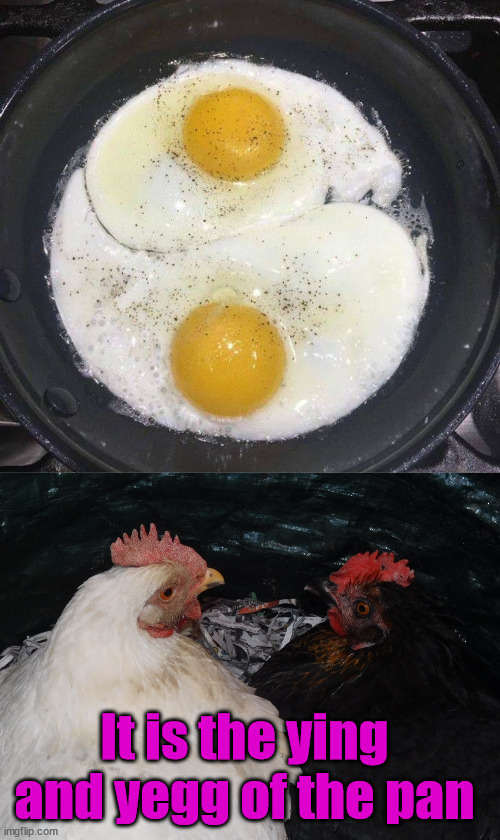 Two opposites that complement each other. | It is the ying and yegg of the pan | image tagged in chickens,chinese,yang,eggs | made w/ Imgflip meme maker