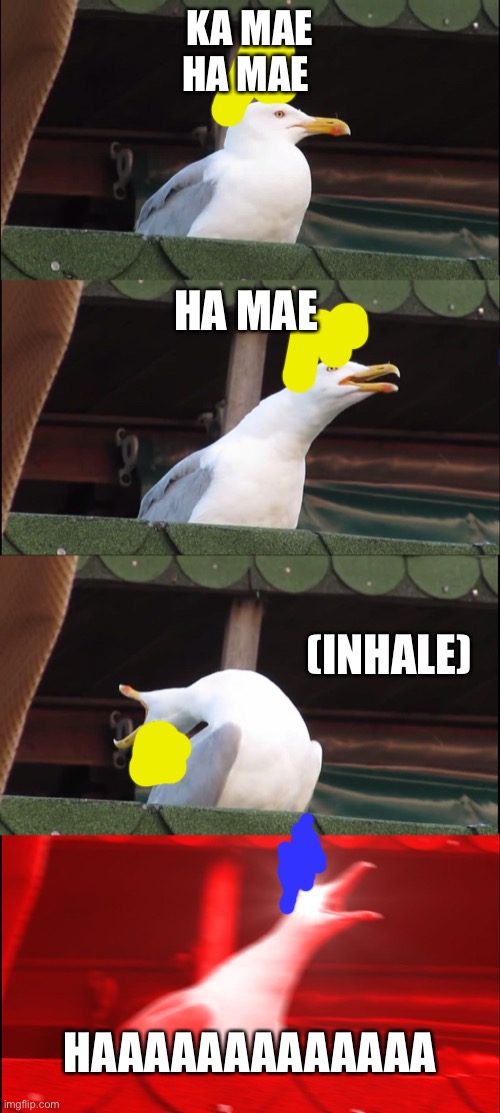 Dragon ball seagull | KA MAE
HA MAE; HA MAE; (INHALE); HAAAAAAAAAAAAA | image tagged in memes,inhaling seagull | made w/ Imgflip meme maker