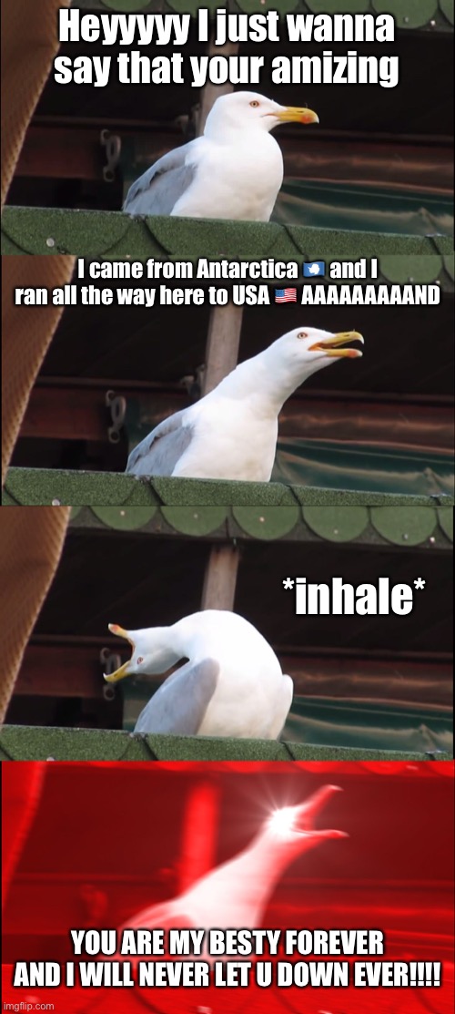 The seagull will never let u down EVER | Heyyyyy I just wanna say that your amizing; I came from Antarctica 🇦🇶 and I ran all the way here to USA 🇺🇸 AAAAAAAAAND; *inhale*; YOU ARE MY BESTY FOREVER AND I WILL NEVER LET U DOWN EVER!!!! | image tagged in memes,inhaling seagull | made w/ Imgflip meme maker