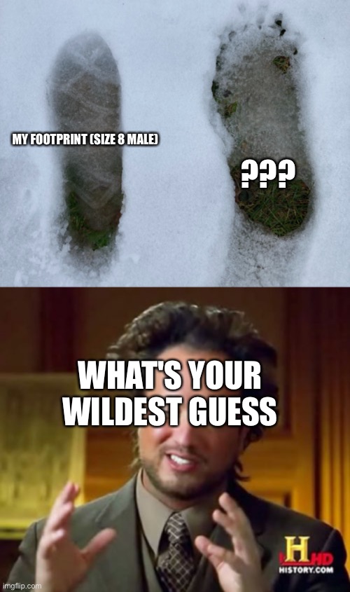 Saw these outside. Wildest guess? be creative plz and have fun :) | ??? MY FOOTPRINT (SIZE 8 MALE); WHAT'S YOUR WILDEST GUESS | image tagged in memes,ancient aliens,conspiracy theory,footprints,bigfoot,big chungus | made w/ Imgflip meme maker