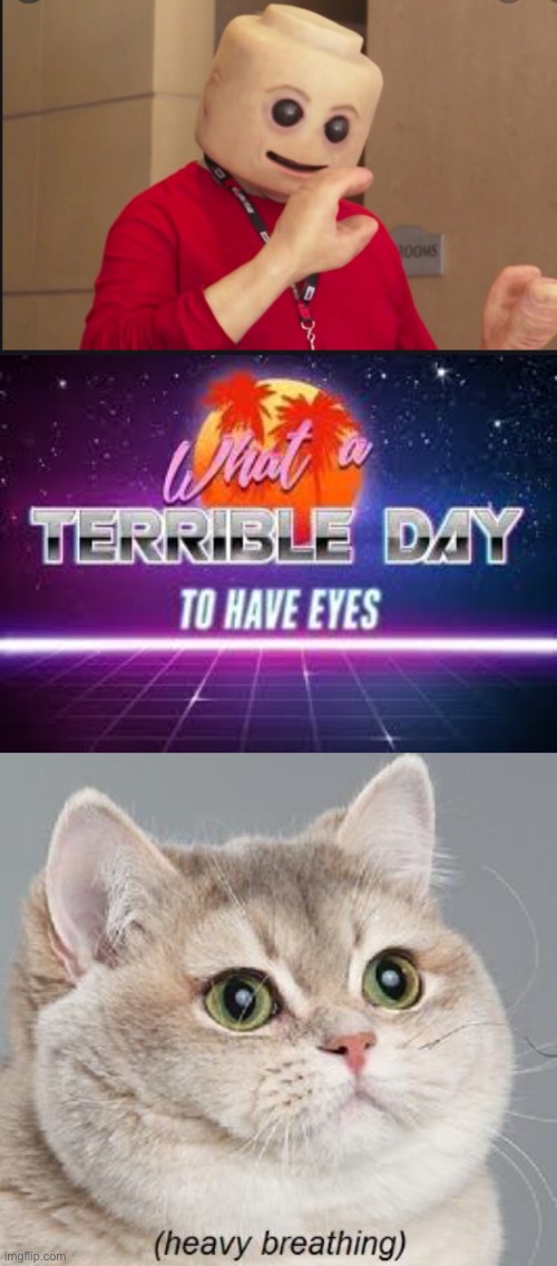 Leto ppl in real life | image tagged in what a terrible day to have eyes,memes,heavy breathing cat | made w/ Imgflip meme maker