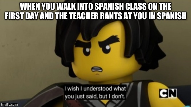 I wish I can understand what you just said, but I don't . | WHEN YOU WALK INTO SPANISH CLASS ON THE FIRST DAY AND THE TEACHER RANTS AT YOU IN SPANISH | image tagged in i wish i can understand what you just said but i don't | made w/ Imgflip meme maker