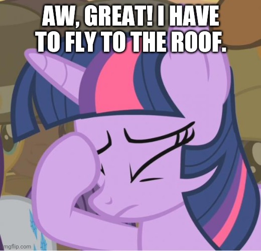 Mlp Twilight Sparkle facehoof | AW, GREAT! I HAVE TO FLY TO THE ROOF. | image tagged in mlp twilight sparkle facehoof | made w/ Imgflip meme maker