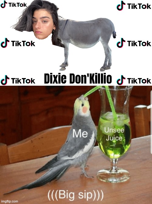 The Most Cursed Image of 2020 Part 2: Dixie Don'Killio | image tagged in unsee juice,tik tok,tik tok sucks | made w/ Imgflip meme maker