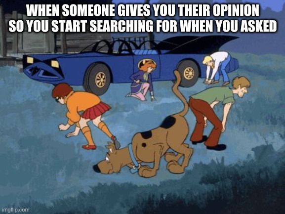 Scooby Doo Search | WHEN SOMEONE GIVES YOU THEIR OPINION SO YOU START SEARCHING FOR WHEN YOU ASKED | image tagged in scooby doo search | made w/ Imgflip meme maker