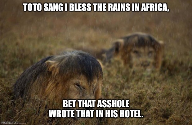 Bless the rain | TOTO SANG I BLESS THE RAINS IN AFRICA, BET THAT ASSHOLE WROTE THAT IN HIS HOTEL. | image tagged in funny memes | made w/ Imgflip meme maker