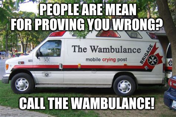 Wambulance | PEOPLE ARE MEAN FOR PROVING YOU WRONG? CALL THE WAMBULANCE! | image tagged in fake news,drama queen | made w/ Imgflip meme maker