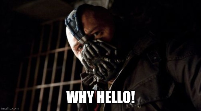 Permission Bane Meme | WHY HELLO! | image tagged in memes,permission bane | made w/ Imgflip meme maker