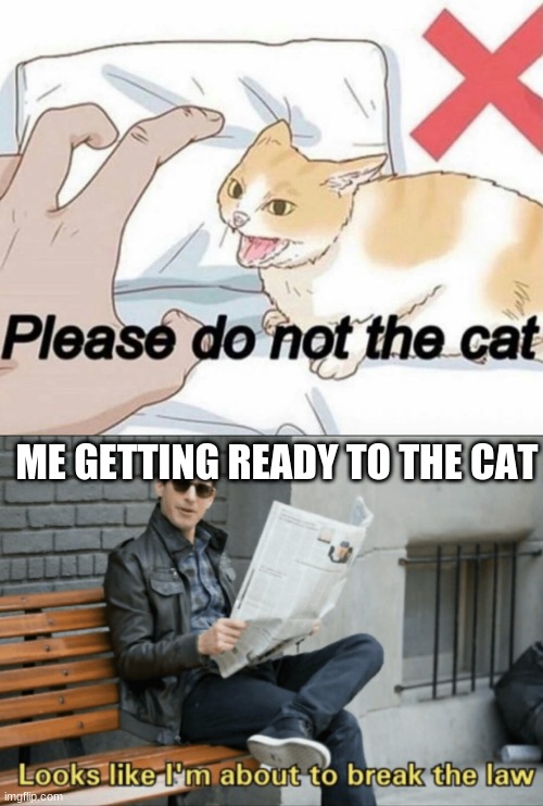 Noice | ME GETTING READY TO THE CAT | image tagged in please do not the cat,look like i'm about to break the law | made w/ Imgflip meme maker