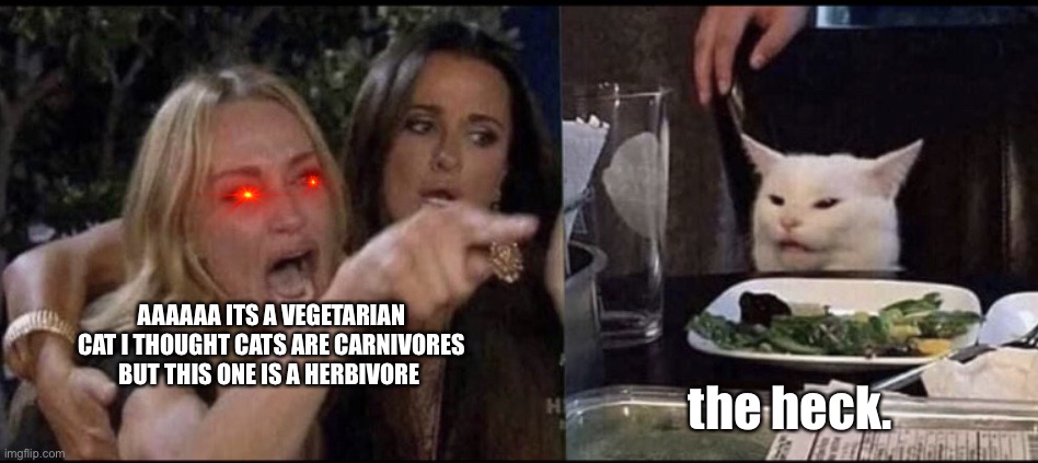 The vegetarian cat | AAAAAA ITS A VEGETARIAN CAT I THOUGHT CATS ARE CARNIVORES BUT THIS ONE IS A HERBIVORE; the heck. | image tagged in karen carpenter and smudge cat | made w/ Imgflip meme maker