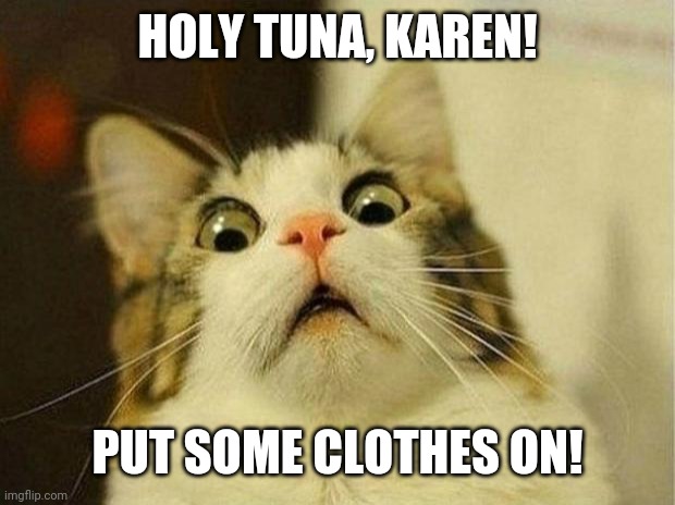 Scarred all 9 lives | HOLY TUNA, KAREN! PUT SOME CLOTHES ON! | image tagged in memes,scared cat | made w/ Imgflip meme maker