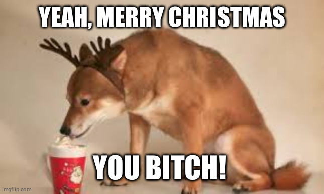 Christmas Bitch.(bitchin' bout Cris'mis)(although that sounds like a song) | YEAH, MERRY CHRISTMAS; YOU BITCH! | image tagged in funny animals,funny dogs,christmas,coffee,coffee addict,satan | made w/ Imgflip meme maker
