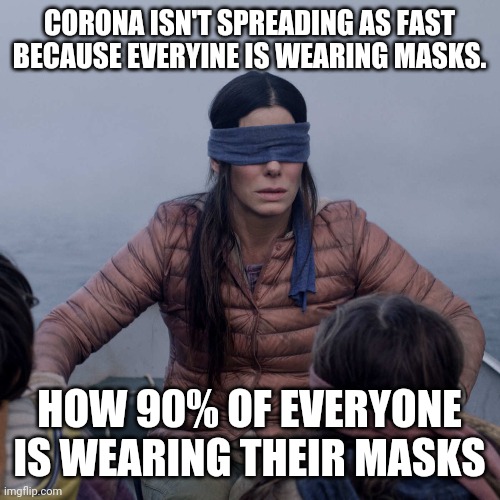 Bird Box | CORONA ISN'T SPREADING AS FAST BECAUSE EVERYINE IS WEARING MASKS. HOW 90% OF EVERYONE IS WEARING THEIR MASKS | image tagged in memes,bird box | made w/ Imgflip meme maker