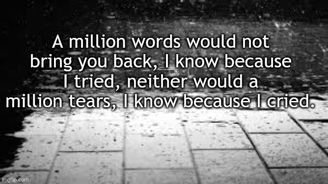 . | A million words would not bring you back, I know because I tried, neither would a million tears, I know because I cried. | image tagged in tags | made w/ Imgflip meme maker