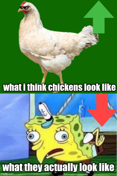 chicken | what i think chickens look like; what they actually look like | image tagged in memes,mocking spongebob,chicken | made w/ Imgflip meme maker