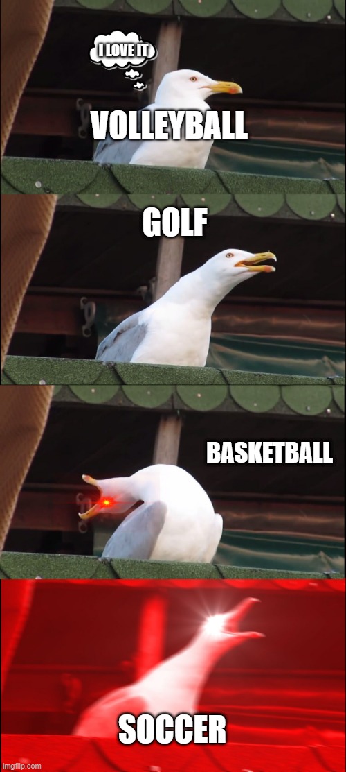 Inhaling Seagull | I LOVE IT; VOLLEYBALL; GOLF; BASKETBALL; SOCCER | image tagged in memes,inhaling seagull | made w/ Imgflip meme maker