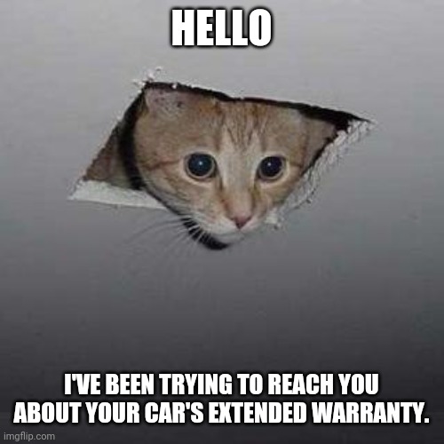 Extended warrenty | HELLO; I'VE BEEN TRYING TO REACH YOU ABOUT YOUR CAR'S EXTENDED WARRANTY. | image tagged in memes,ceiling cat | made w/ Imgflip meme maker