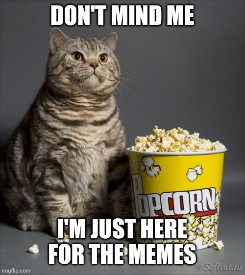 Easily amused |  DON'T MIND ME; I'M JUST HERE FOR THE MEMES | image tagged in cat eating popcorn | made w/ Imgflip meme maker