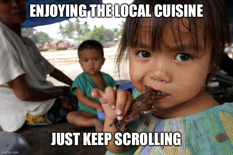 ENJOYING THE LOCAL CUISINE; JUST KEEP SCROLLING | image tagged in memes,roasted rat | made w/ Imgflip meme maker