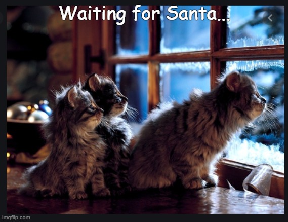 waiting for Santa | Waiting for Santa... | image tagged in christmas | made w/ Imgflip meme maker
