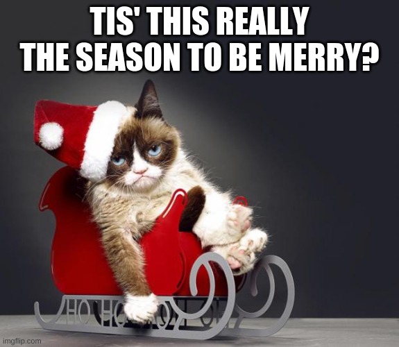Grumpy Cat Christmas HD | TIS' THIS REALLY THE SEASON TO BE MERRY? | image tagged in grumpy cat christmas hd | made w/ Imgflip meme maker