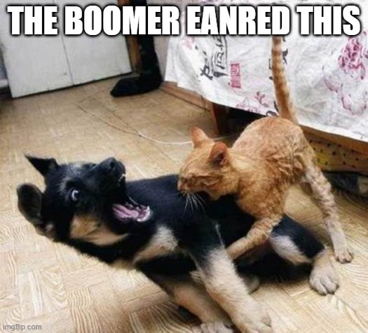 boomers are back | THE BOOMER EANRED THIS | image tagged in cats | made w/ Imgflip meme maker