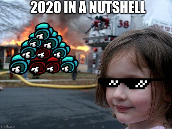 2020 | 2020 IN A NUTSHELL | image tagged in memes,disaster girl | made w/ Imgflip meme maker