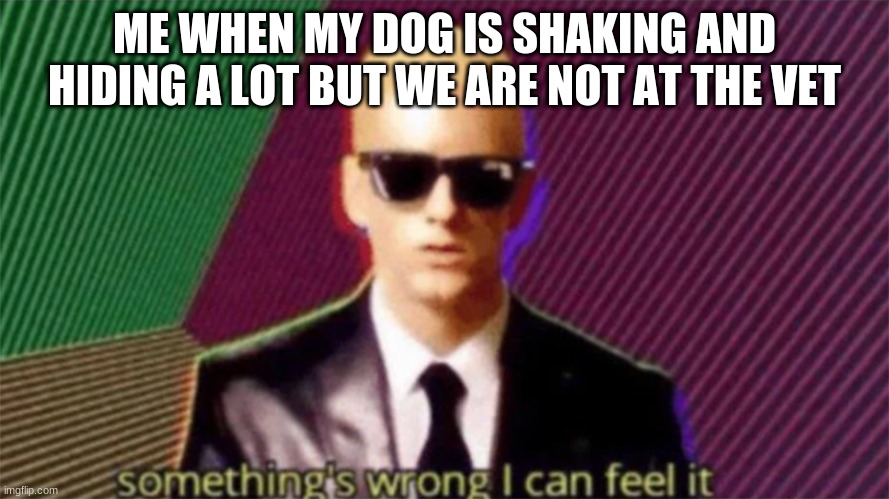 something's wrong i can feel it | ME WHEN MY DOG IS SHAKING AND HIDING A LOT BUT WE ARE NOT AT THE VET | image tagged in something's wrong i can feel it | made w/ Imgflip meme maker