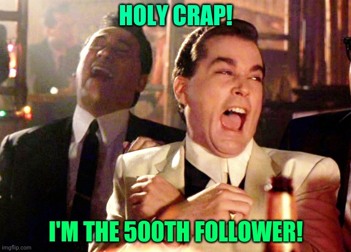 Good Fellas Hilarious | HOLY CRAP! I'M THE 500TH FOLLOWER! | image tagged in memes,good fellas hilarious | made w/ Imgflip meme maker