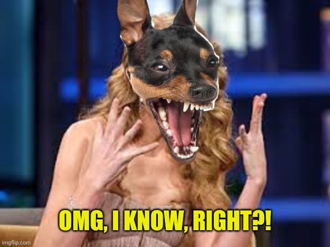 Taylor Swift OMG dog | OMG, I KNOW, RIGHT?! | image tagged in taylor swift omg dog | made w/ Imgflip meme maker