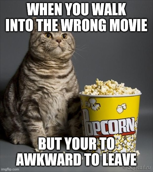 Cat eating popcorn |  WHEN YOU WALK INTO THE WRONG MOVIE; BUT YOUR TO AWKWARD TO LEAVE | image tagged in cat eating popcorn | made w/ Imgflip meme maker
