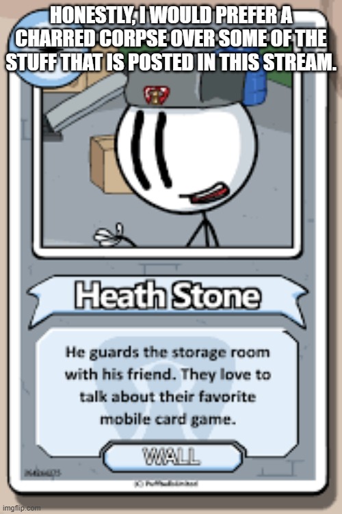 HONESTLY, I WOULD PREFER A CHARRED CORPSE OVER SOME OF THE STUFF THAT IS POSTED IN THIS STREAM. | image tagged in heath stone bio | made w/ Imgflip meme maker