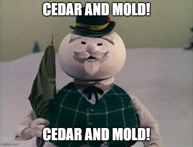 Rudolph KFC | CEDAR AND MOLD! CEDAR AND MOLD! | image tagged in rudolph kfc,Austin | made w/ Imgflip meme maker