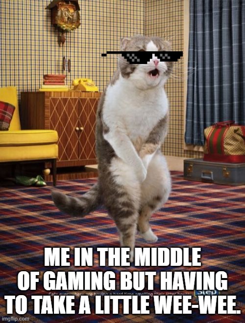 Gotta Go Cat Meme | ME IN THE MIDDLE OF GAMING BUT HAVING TO TAKE A LITTLE WEE-WEE. | image tagged in memes,gotta go cat | made w/ Imgflip meme maker